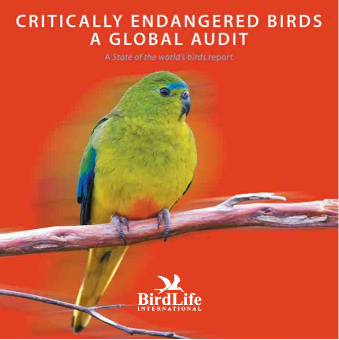 Critically Endangered Birds